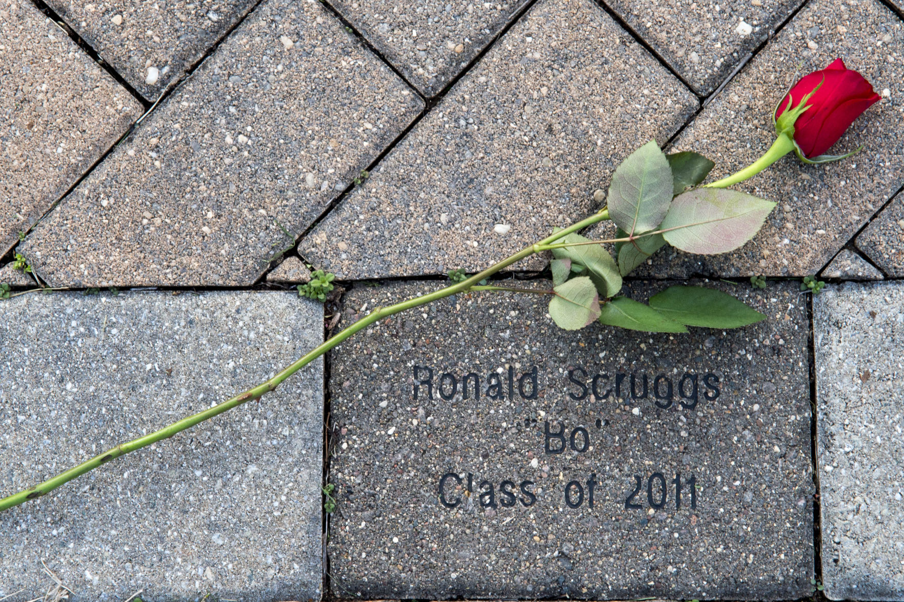 Memorial 12